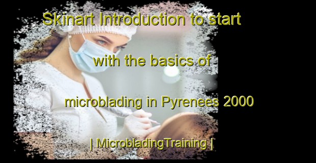 Skinart Introduction to start with the basics of microblading in Pyrenees 2000 | MicrobladingTraining | MicrobladingClasses | SkinartTraining-France